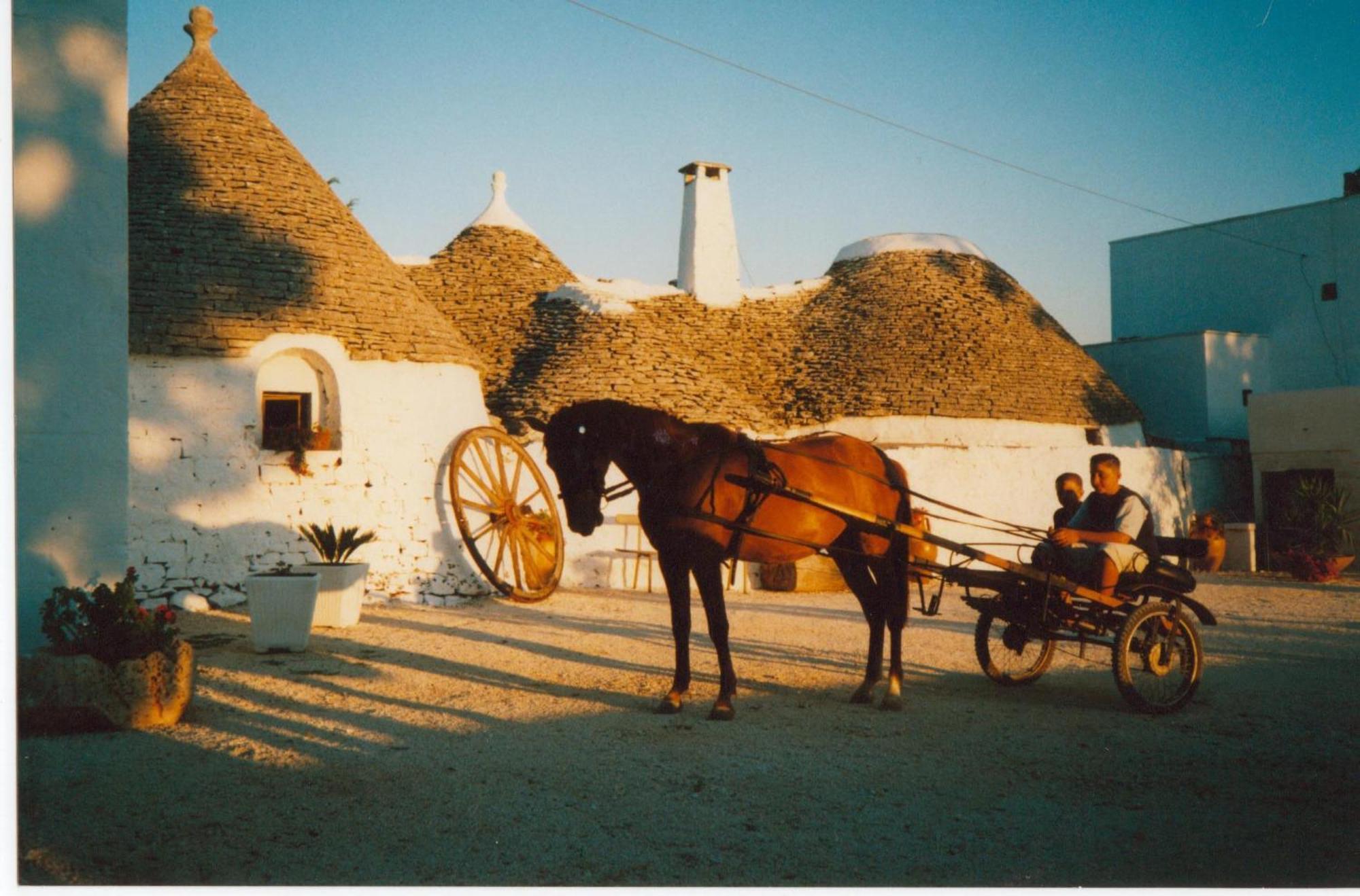 الشقق الفندقية لوكوروتوندوفي  Masseria Serio المظهر الخارجي الصورة